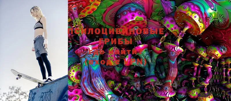 Галлюциногенные грибы Psilocybine cubensis  ОМГ ОМГ ссылка  Ворсма 